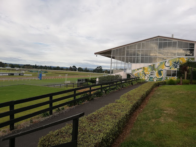 Reviews of Racing Tauranga Incorporated in Tauranga - Sports Complex