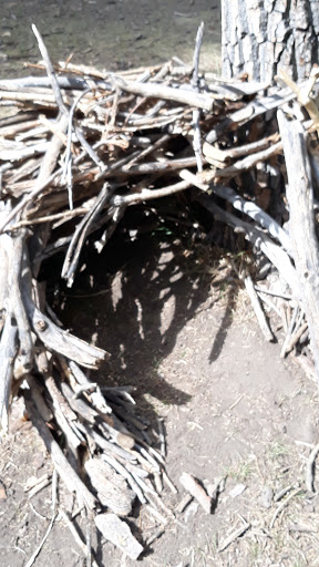 Nature Preserve «Bluff Lake Nature Center», reviews and photos, 3400 Havana Way, Denver, CO 80238, USA