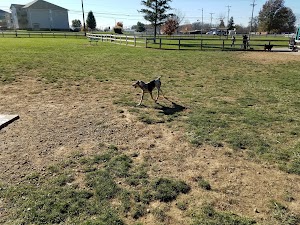 Scout Dog Park - photo 62
