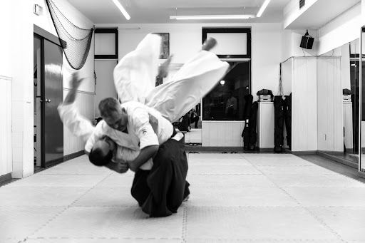 Dojo Takeda Ryu