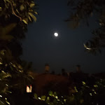 Photo n°17 de l'avis de Aurelio.e fait le 30/08/2023 à 22:44 sur le  La Vela Ristorante à Torre a Mare