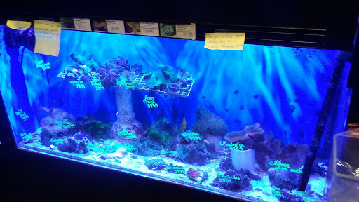 Pet Store «Pet Cove», reviews and photos, 820 E Center St, Kingsport, TN 37660, USA