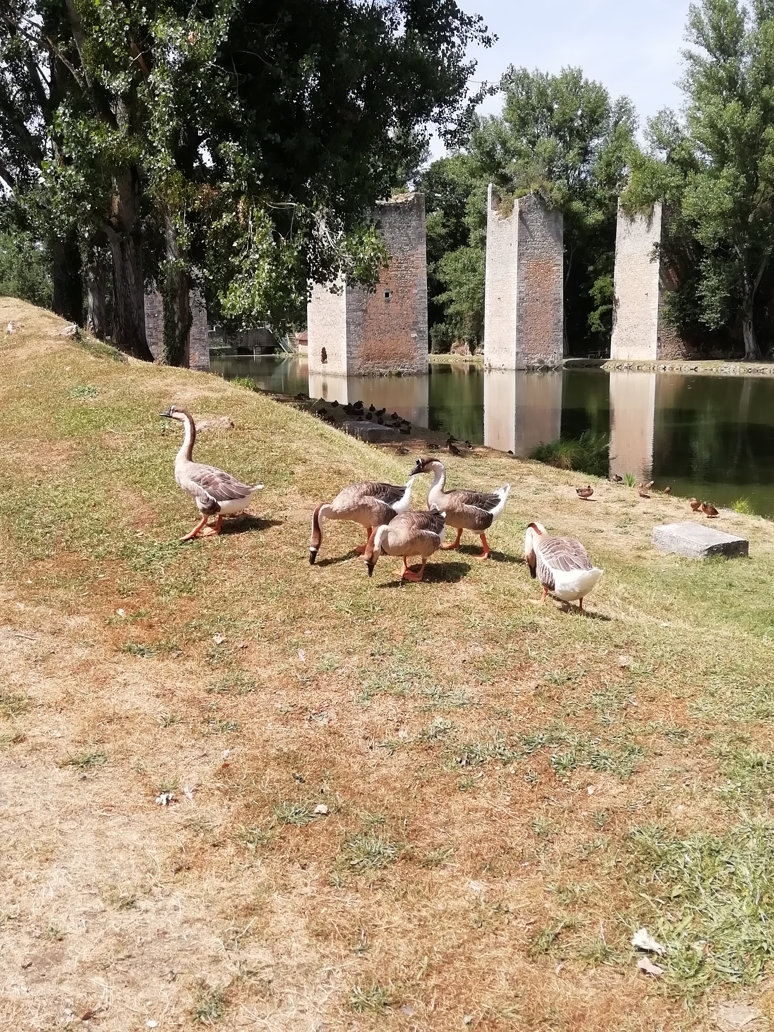 Photo n° 2 de l'avis de Auwine.u fait le 21/07/2019 à 20:04