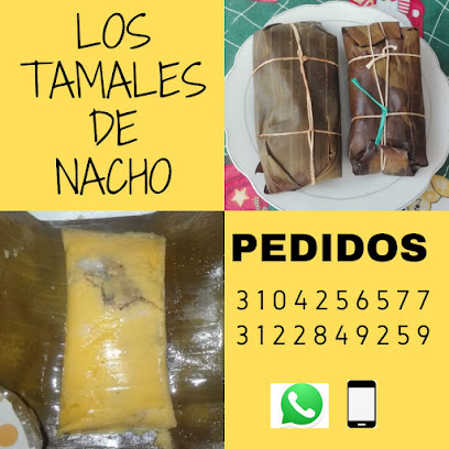 Tamales y envueltos NACHO