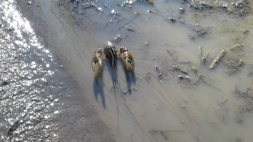 Shipping and Mailing Service «UPS Customer Center», reviews and photos, 11141 Canal Rd, Cincinnati, OH 45241, USA