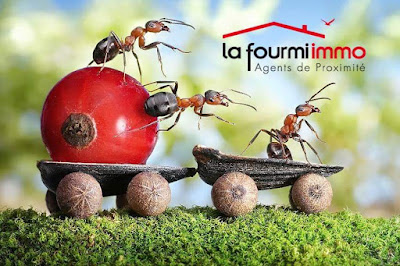 La Fourmi-immo Christine Seguin Aurin à Aurin