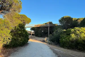 Dunar - Ruta 1 - Doñana Park image