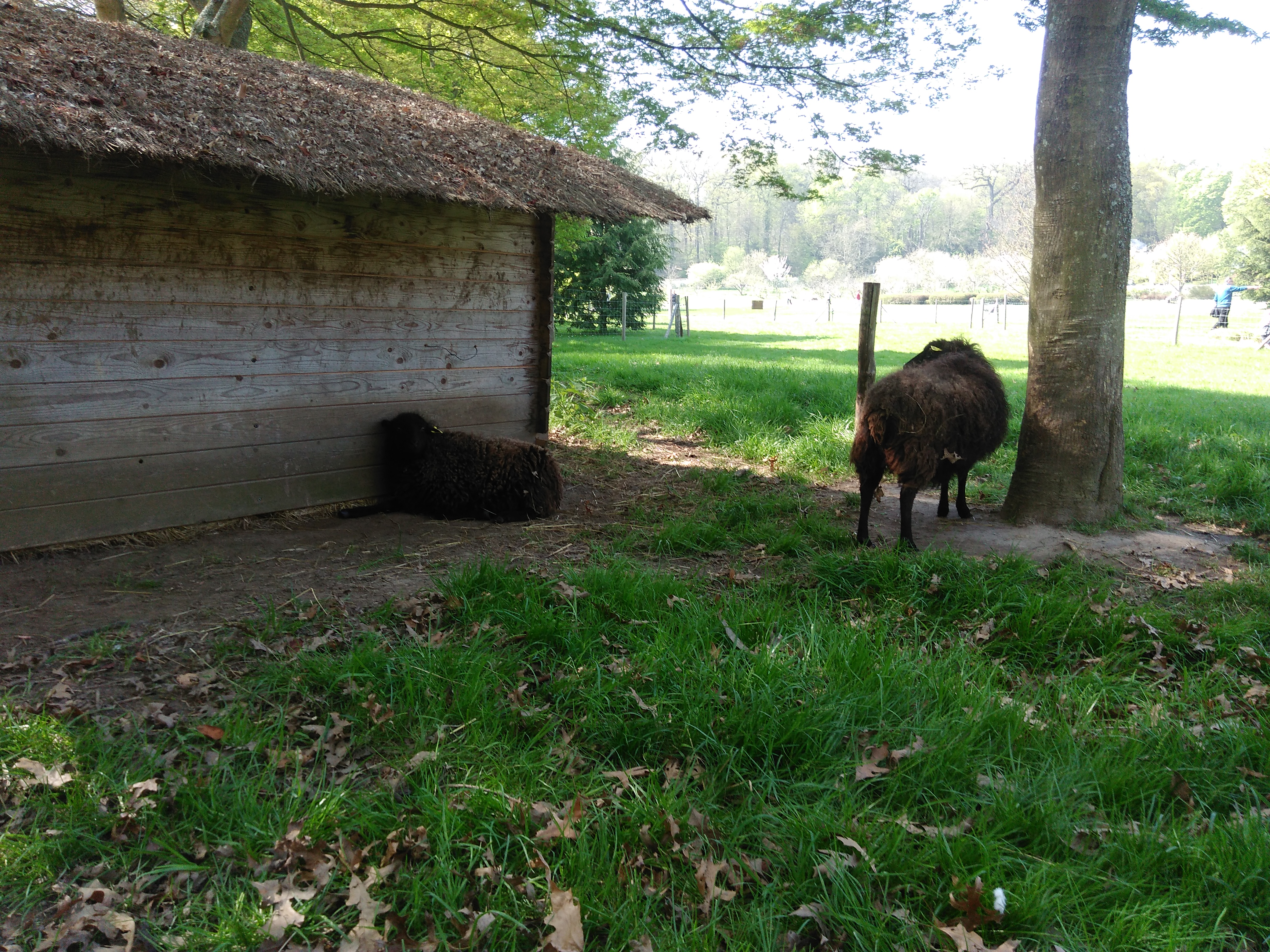 Photo n° 9 de l'avis de Nicolas.a fait le 08/04/2017 à 14:08