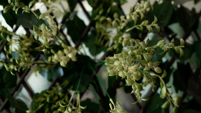 D' Encantar Restaurante - Torres Vedras