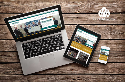 Website Designer «Ladybugz Interactive Agency», reviews and photos, 206 Turnpike Rd, Southborough, MA 01772, USA