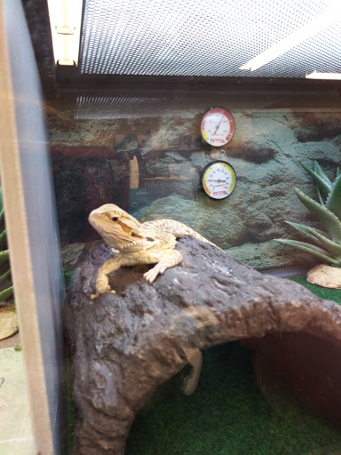 Pet Supply Store «Petco Animal Supplies», reviews and photos, 5 Bel Air S Pkwy #213B, Bel Air, MD 21014, USA