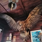 Photo n°7 de l'avis de DAVIDE.a fait le 25/12/2021 à 08:14 sur le  Bar Piccolo Museo à Cantoniera della Presolana