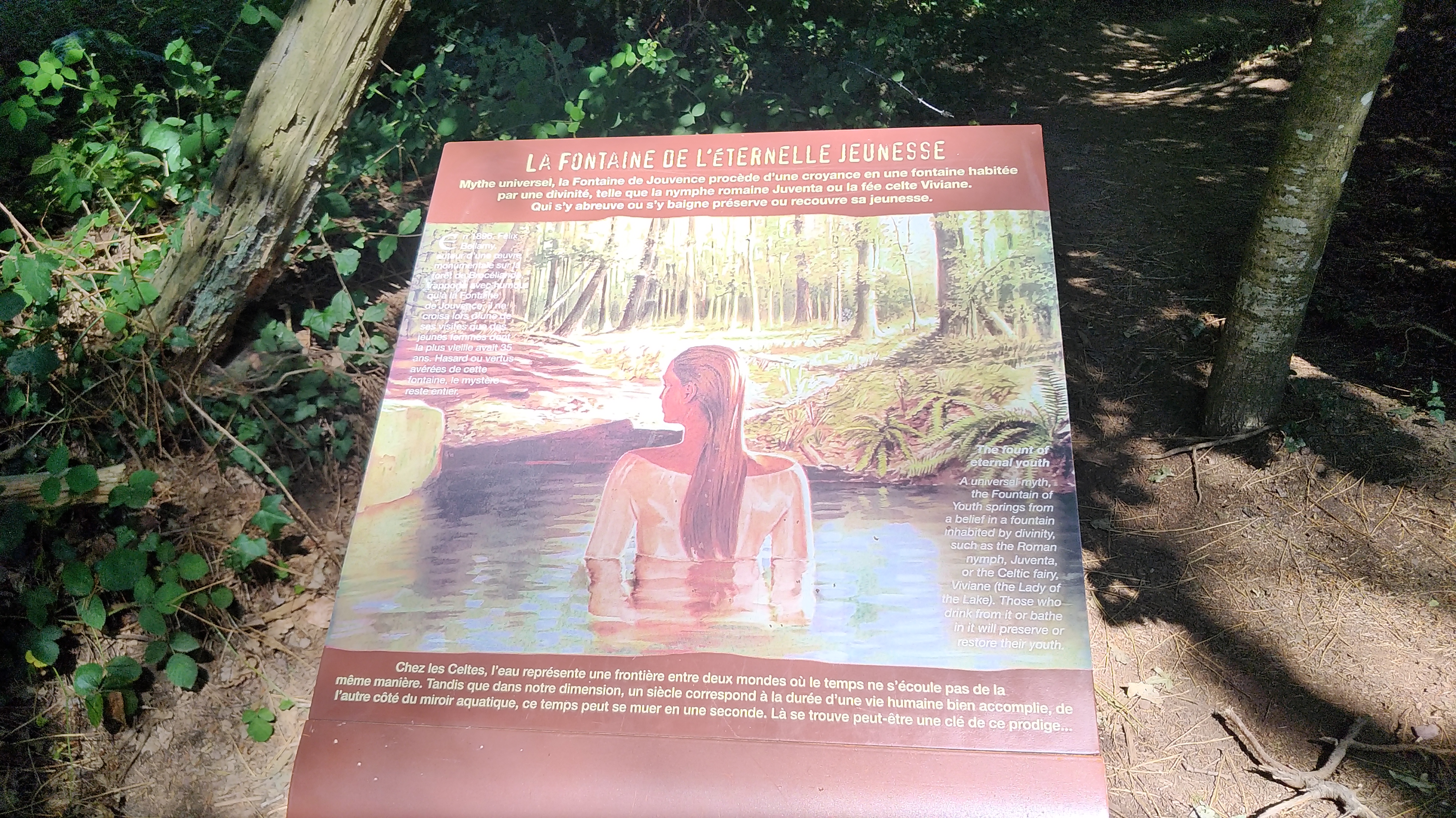 Photo n° 1 de l'avis de Chris.i fait le 22/07/2019 à 16:57