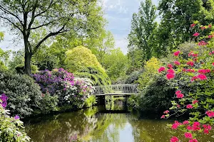 Arboretum trompenburg image