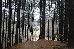 Hoengseong Lake Trail Track #5 image