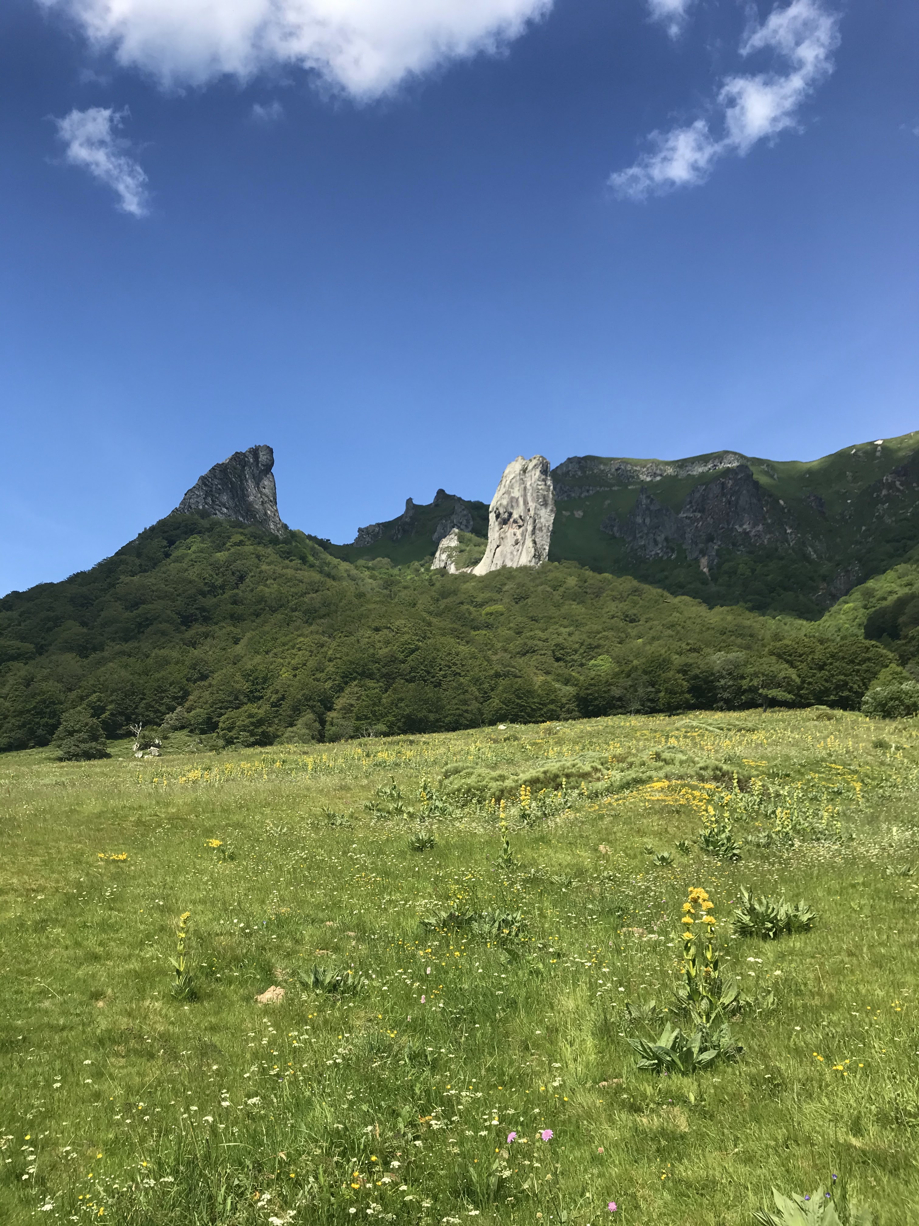 Photo n° 50 de l'avis de axel.l fait le 24/06/2020 à 15:56