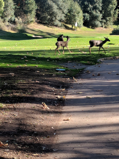 Golf Course «Deep Cliff Golf Course», reviews and photos, 10700 Club House Ln, Cupertino, CA 95014, USA