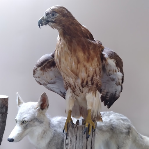 Tourist Attraction «Caesar Creek Visitor Center», reviews and photos, 4020 N Clarksville Rd, Waynesville, OH 45068, USA