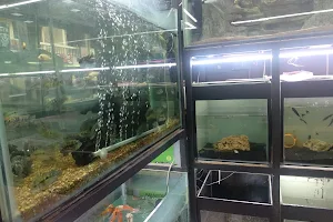 S N Fish Paradise Aquarium image