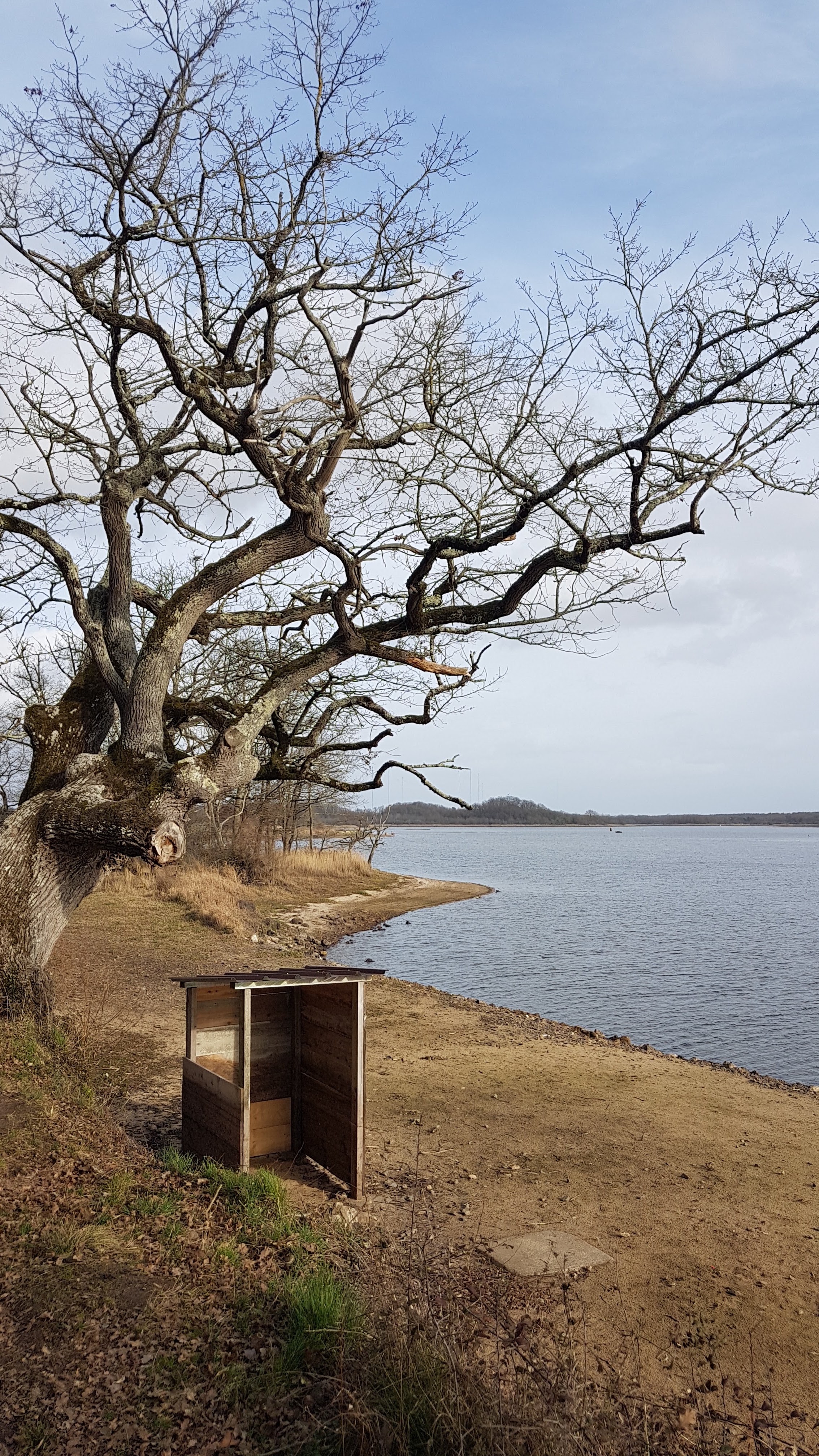 Photo n° 3 de l'avis de Thierry.a fait le 18/02/2019 à 14:33
