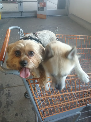 Home Improvement Store «The Home Depot», reviews and photos, 2461 N Richmond Rd, McHenry, IL 60051, USA