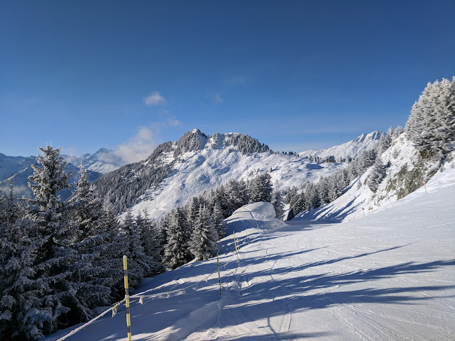 Kommentare und Rezensionen über Golfclub Riederalp