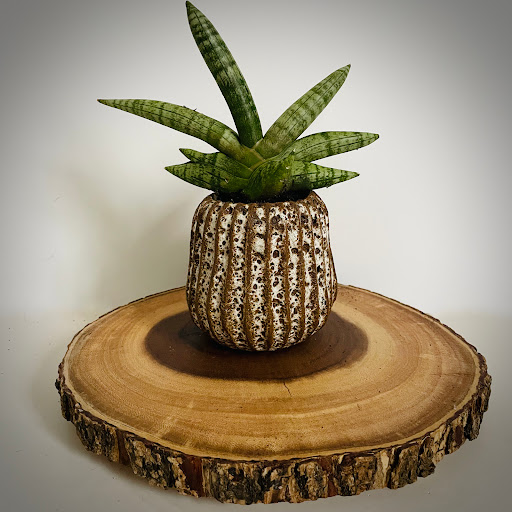 Plant Nursery «Goldner Walsh Garden and Home», reviews and photos, 559 Orchard Lake Rd, Pontiac, MI 48341, USA