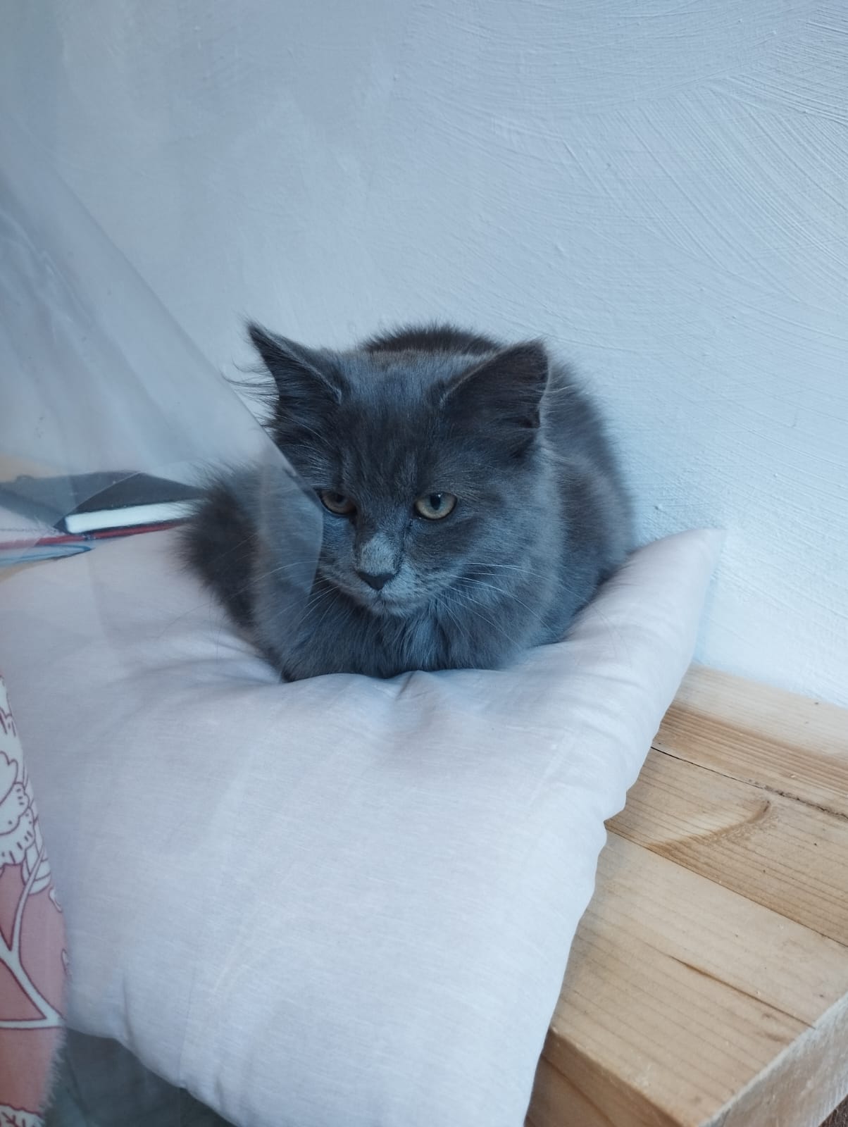 Photo n° 7 de l'avis de Olivier.m fait le 23/09/2023 à 16:15