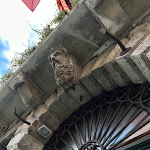 Photo n°6 de l'avis de Clémence.i fait le 26/11/2023 à 16:37 sur le  Hotel Ai Cavalieri à Venice