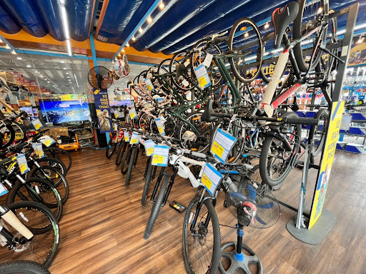 Cửa hàng xe đạp AVACycle