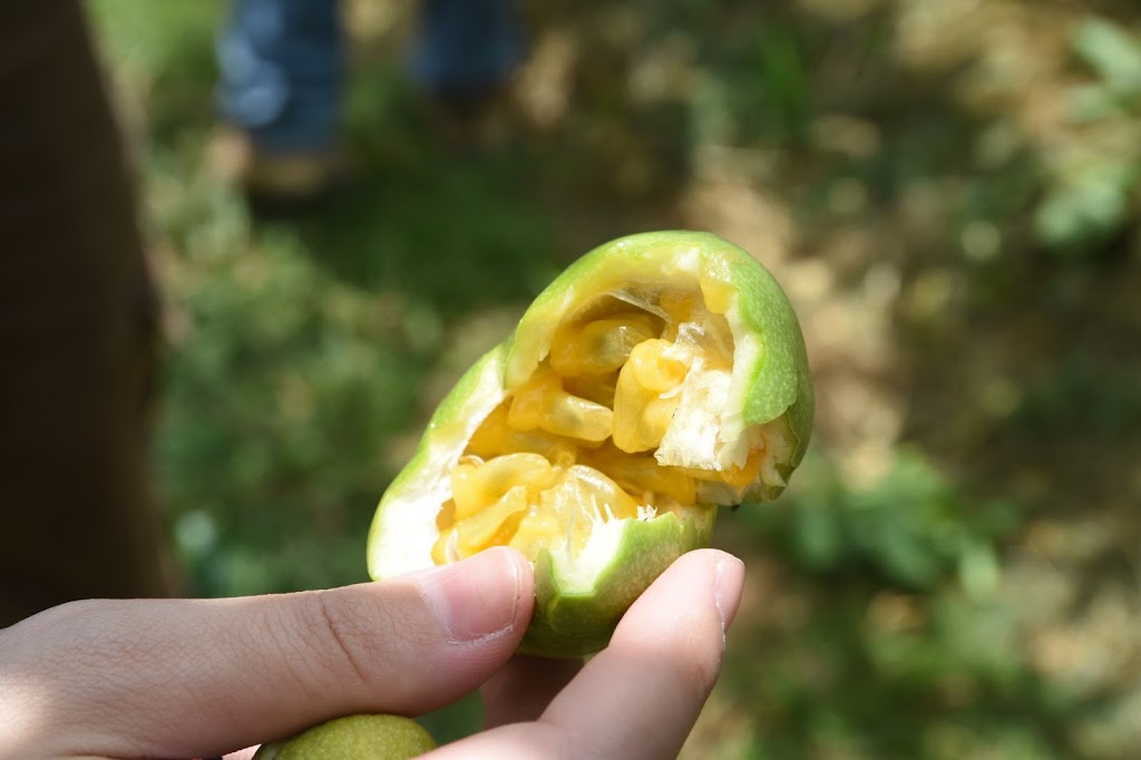 一芳水果茶 八德廣福店 的照片