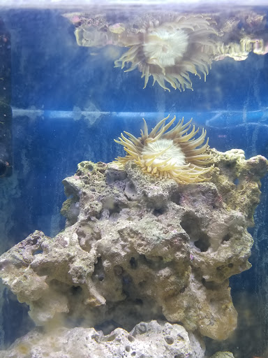 Pet Store «Aqualand Aquarium Center», reviews and photos, 5355 Chicago Ave, Minneapolis, MN 55417, USA