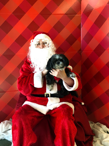 Pet Supply Store «Petco Animal Supplies», reviews and photos, 30697 US Hwy 19 N, Palm Harbor, FL 34684, USA