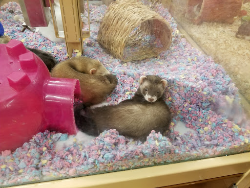 Pet Supply Store «Pet Supermarket», reviews and photos, 226 W 23rd St, Panama City, FL 32405, USA