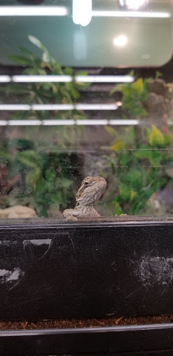 Pet Supply Store «Pet Supplies Plus», reviews and photos, 1368 N Galena Ave, Dixon, IL 61021, USA