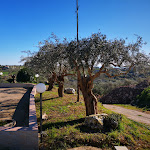 Photo n°2 de l'avis de Walter.u fait le 30/01/2022 à 15:47 sur le  Bellaera Agriturismo à Modica