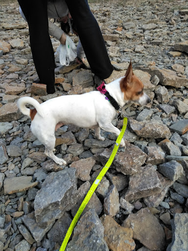 Park «Trammel Fossil Park», reviews and photos, Tramway Dr, Sharonville, OH 45241, USA