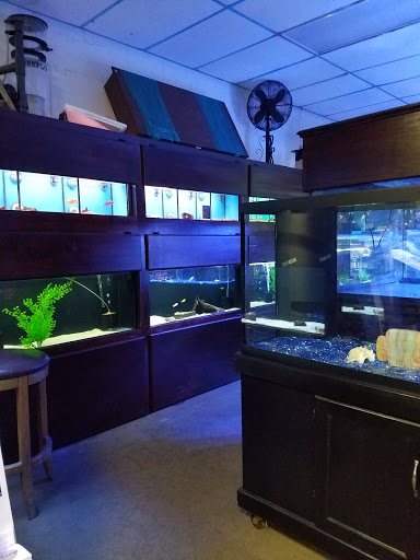 Tropical Fish Store «Aquarium Shoppe», reviews and photos, 2246 S Campbell Ave, Springfield, MO 65807, USA