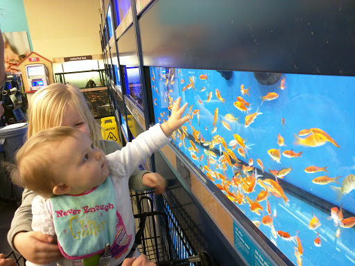 Pet Supply Store «Petco Animal Supplies», reviews and photos, 226 Thornton Drive, Dickson, TN 37055, USA