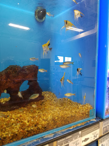 Pet Supply Store «Petco Animal Supplies», reviews and photos, 7590 150th St W, Apple Valley, MN 55124, USA