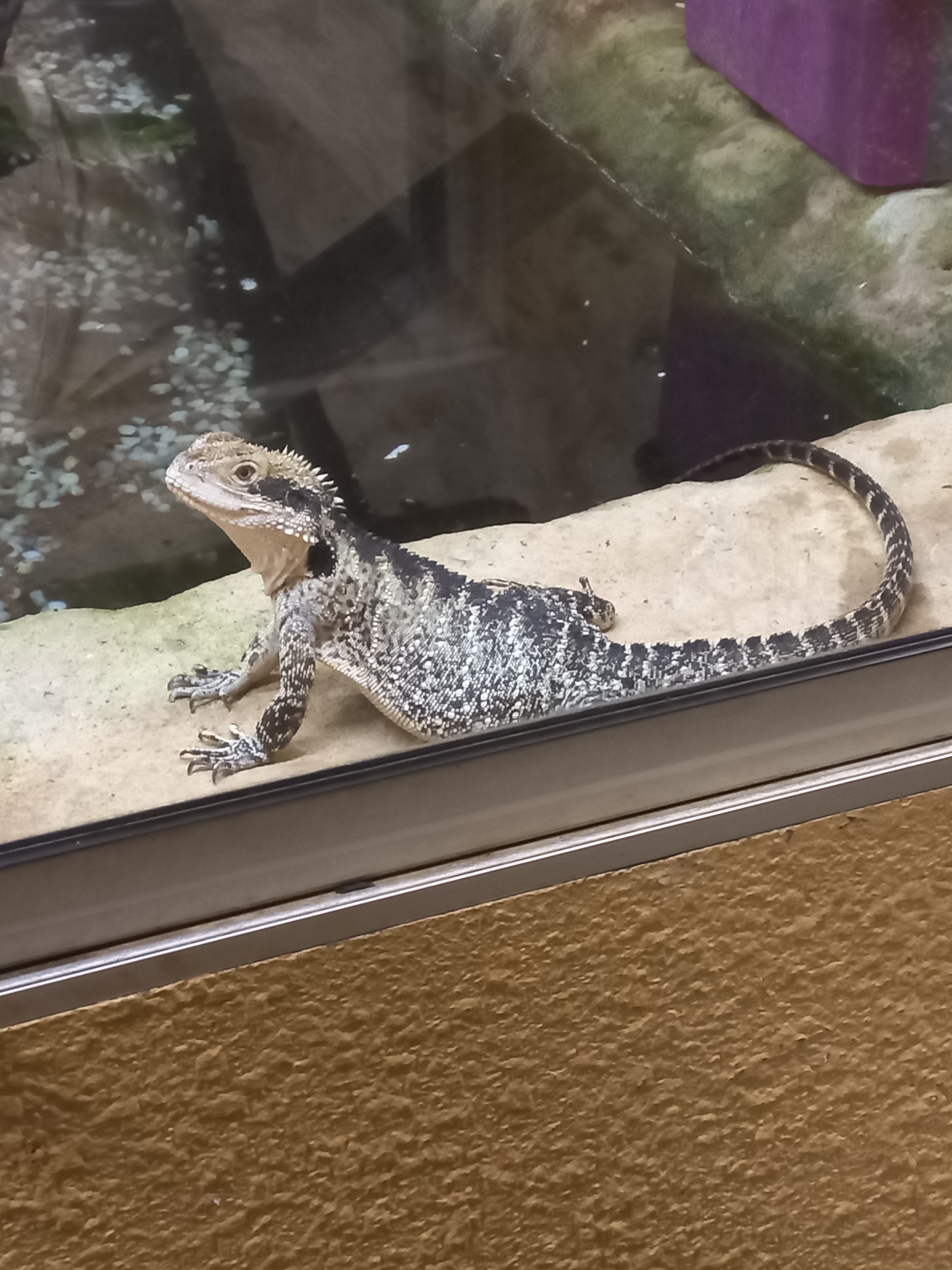 Photo n° 2 de l'avis de MARTINE.o fait le 09/06/2023 à 17:12