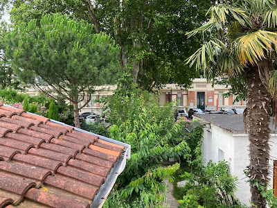 Vraie toulousaine arborée à Toulouse