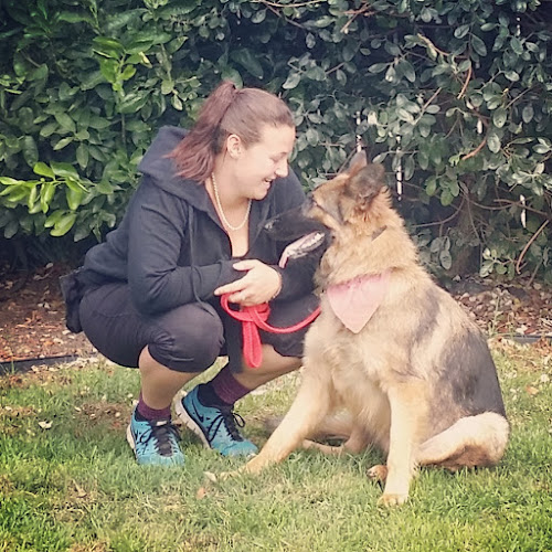 Luzelle the Dog Trainer - Dog trainer