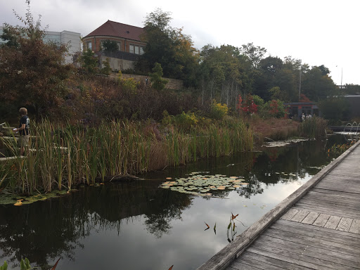 Botanical Garden «Phipps Conservatory and Botanical Gardens», reviews and photos, 1 Schenley Drive, Pittsburgh, PA 15213, USA
