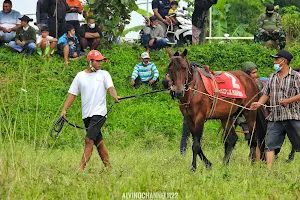 Football Field and Horse Racing image