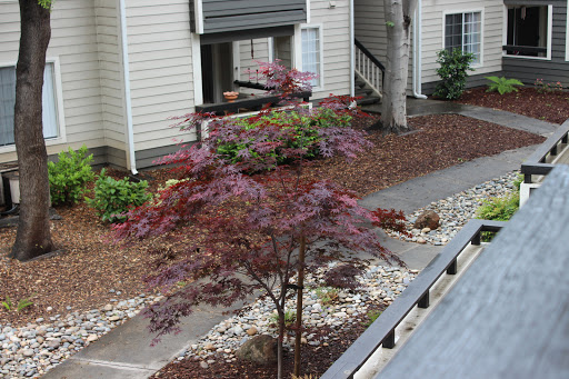 Vegan Restaurant «Nectar Cafe», reviews and photos, 1925 NE 42nd Ave, Portland, OR 97213, USA