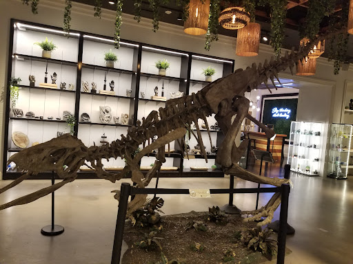 Shopping Mall «Mall of Georgia», reviews and photos, 3333 Buford Drive, Buford, GA 30519, USA