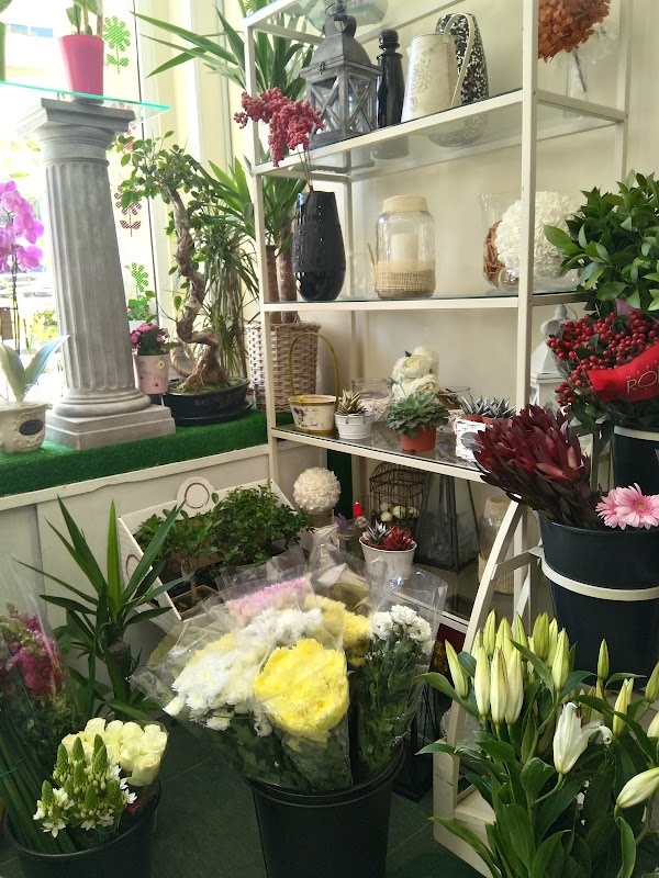 El Jardin de Mar Flores y Plantas