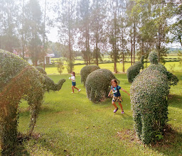 Phornprapha Botanic photo