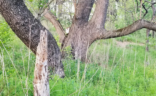 Park «Seneca Park», reviews and photos, 3151 Pee Wee Reese Rd, Louisville, KY 40207, USA